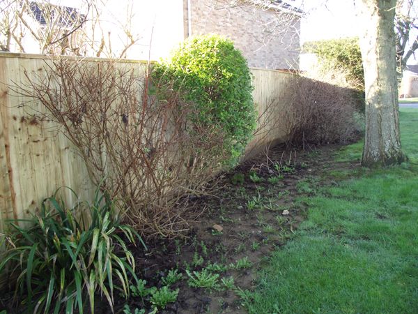 Fence Surrounding Garden